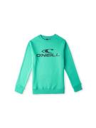 O'NEILL Sweatshirt  grøn / jade / sort