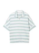 TOM TAILOR Shirts  pastelblå / hvid