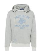 Polo Ralph Lauren Sweatshirt  safir / grå / sort / hvid