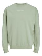 JACK & JONES Sweatshirt 'Stagger'  khaki / siv / pastelgrøn / rød
