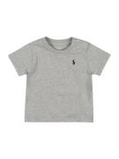 Polo Ralph Lauren Shirts  grå