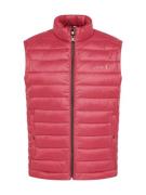 BOSS Vest 'Calano'  bordeaux