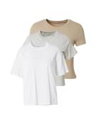 Abercrombie & Fitch Shirts 'ESSENTIAL'  beige / grå-meleret / hvid