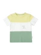 STACCATO Shirts  lemon / grøn / hvid