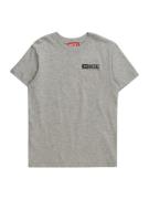 DIESEL Shirts  grå-meleret / sort