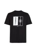 O'NEILL Bluser & t-shirts 'Mix & Match Palm'  sort / hvid