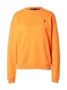 Polo Ralph Lauren Sweatshirt  blå / orange
