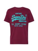 Superdry Bluser & t-shirts  turkis / bær