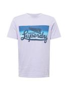 Superdry Bluser & t-shirts  blå-meleret / lilla