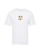 JACK & JONES Bluser & t-shirts 'BERLIN'  citron / grafit / lavendel / ...