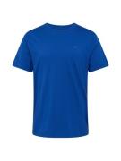 HOLLISTER Bluser & t-shirts  blå