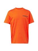 NAPAPIJRI Bluser & t-shirts 'S-TAHI'  lysegrå / orange / sort