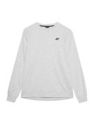 4F Sportsweatshirt  grå-meleret / sort