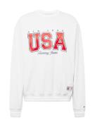 Tommy Jeans Sweatshirt 'ARCHIVE GAMES TEAM USA'  grå / lysegrå / rød /...
