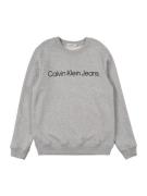 Calvin Klein Jeans Sweatshirt  grå / sort