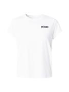 LEVI'S ® Shirts 'Graphic Authentic Tshirt'  sort / hvid