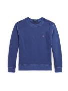 Polo Ralph Lauren Sweatshirt  blå / lyserød