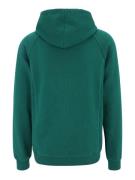 FILA Sweatshirt 'LUTHERAN'  navy / grøn / rød / hvid