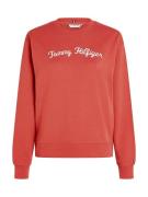 TOMMY HILFIGER Sweatshirt  marin / rød / hvid