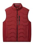 TOM TAILOR Vest  bordeaux / sort / hvid