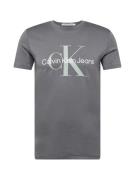 Calvin Klein Jeans Bluser & t-shirts  mørkegrå / mint / hvid