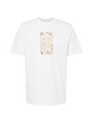 ADIDAS ORIGINALS Bluser & t-shirts  kit / lysebrun / mørkebrun / hvid