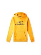 O'NEILL Sweatshirt  gul / sort