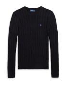 Polo Ralph Lauren Pullover 'JULIANNA'  lyselilla / sort