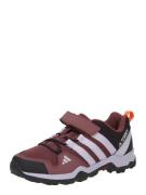 ADIDAS TERREX Lave sko 'Ax2R'  kastaniebrun / sort / hvid