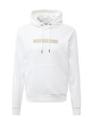 Calvin Klein Sweatshirt  camel / hvid