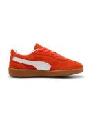 PUMA Sneakers 'Palermo'  hummer / offwhite