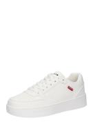 LEVI'S ® Sneaker low 'PAIGE'  rød / hvid