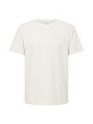 HOLLISTER Bluser & t-shirts  creme