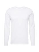 SELECTED HOMME Bluser & t-shirts 'DAN'  hvid