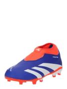 ADIDAS PERFORMANCE Sportssko 'Predator League'  royalblå / orange / hv...