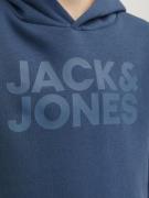 Jack & Jones Junior Sweatshirt 'JJECorp'  lyseblå / mørkeblå