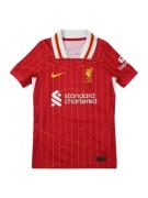 NIKE Funktionsskjorte 'LFC Y DFADVMATCH'  gul / rød / hvid