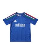 ADIDAS SPORTSWEAR Funktionsskjorte 'Tiro Nations'  blå / grøn / rød / ...