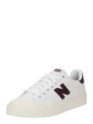 new balance Sneaker low 'B100'  mørkebrun / hvid