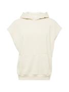 HOLLISTER Sweatshirt  lysebeige