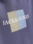 Jack & Jones Junior Sweatshirt 'JORFrederiksberg'  natblå / lyseblå / ...