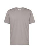 Champion Authentic Athletic Apparel Bluser & t-shirts  grå