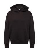 LEVI'S ® Sweatshirt 'Authentic'  sort