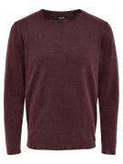 Only & Sons Pullover 'GARSON'  vinrød