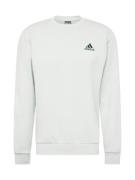 ADIDAS SPORTSWEAR Sweatshirt 'FEELCOZY'  grøn / pastelgrøn