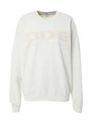 BDG Urban Outfitters Sweatshirt  beige / ecru