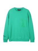 Desigual Sweatshirt 'DYLAN'  smaragd