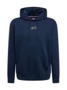 Tommy Jeans Sweatshirt  navy / guld