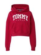 Tommy Jeans Sweatshirt  grenadine / hvid