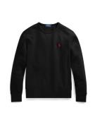 Polo Ralph Lauren Sweatshirt 'LSCNM1'  sort